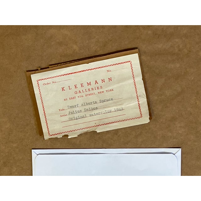 Original Signed Julius Delbos Watercolor Painting Titled 'Dwarf Alberta Spruce' C1943 For Sale - Image 10 of 12