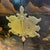 Exceptional Fitted Interior - English Chinoiserie Cabinet on Stand For Sale - Image 12 of 12