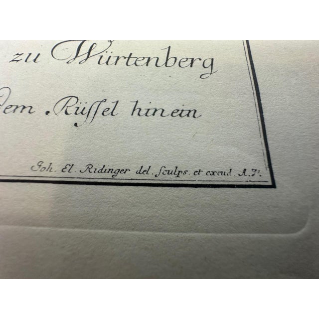 Johann Elias Ridinger, Wild Boar, Etching, 18th Century For Sale - Image 6 of 9