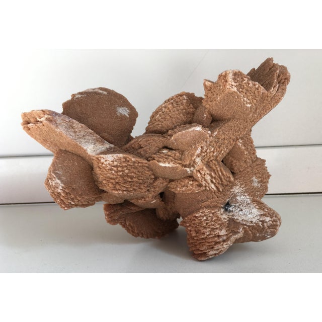 About ‘Desert Rose’ selenite crystal Formation desert roses are crystal clusters formed of gypsum barite and sand. It can...