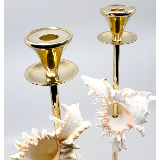 Brass Candlesticks Shells Seashells Pair For Sale - Image 10 of 15