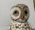 Vintage Italian Ceramic Owl Umbrella Stand For Sale - Image 11 of 18