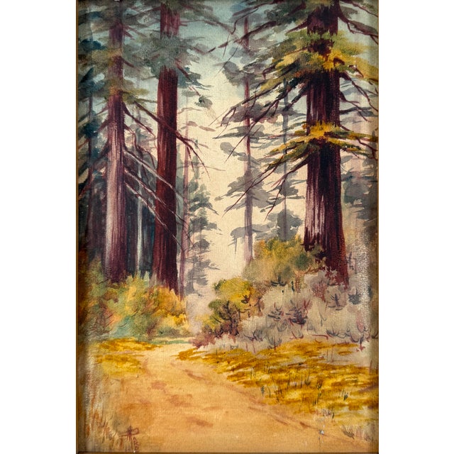 "Redwoods Richdale Corralitos" 1912 Original Watercolor by Minnie MaGill Pardee Lovely watercolor of the Redwoods on the...