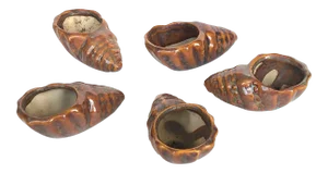 Ceramic Seashell Tea Light Candle Holder - Set of 5