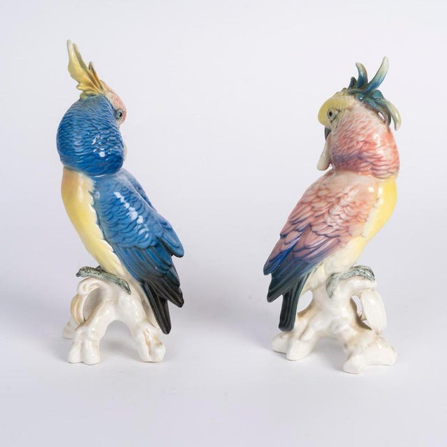 Porcelain Parrots, 20th Century, Set of 2 For Sale - Image 3 of 6