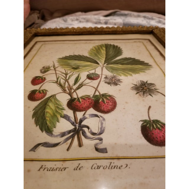 Hand colored French Engraving from 1768. The frame is Victorian and in rough condition. The engraving has lots of foxing.