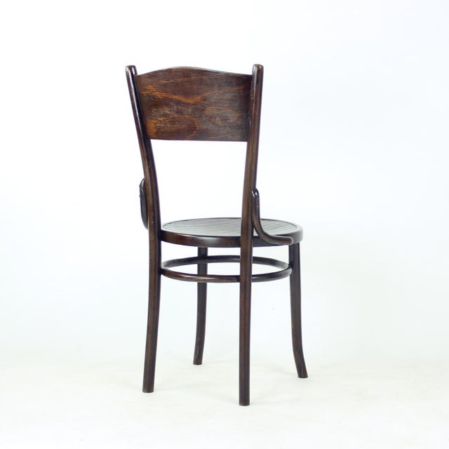 1940s Bentwood Chair from Tatra, Former Czechoslovakia, 1940s For Sale - Image 5 of 16