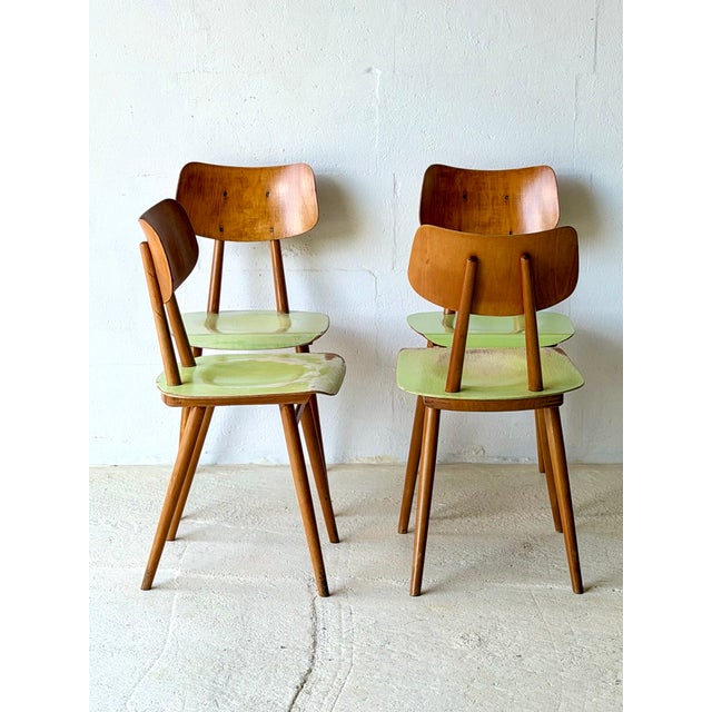 Bistro Chairs from Ton, 1960, Set of 4 For Sale - Image 15 of 18