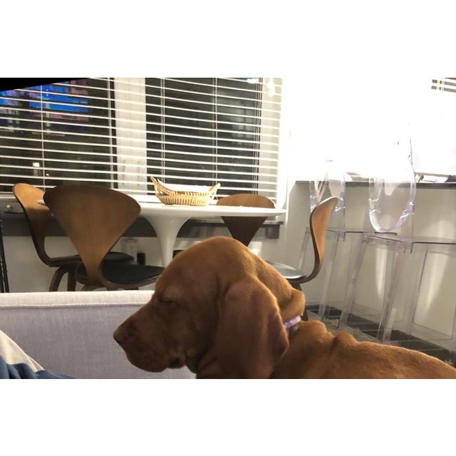 Authentic Knoll Saarinen Tulip Dining Table, 48" White For Sale - Image 10 of 12