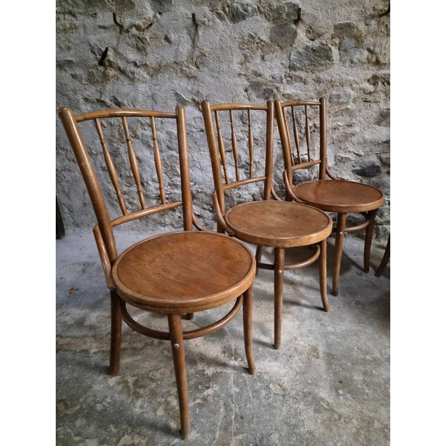 Bentwood Bistro Chairs from Fischel, Former Czechoslovakia, 1930s, Set of 6 For Sale - Image 18 of 18