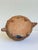 Mid-Century Terracotta Studio Pottery Armadillo Effigy Vessel – Pre-Columbian Style For Sale In Seattle - Image 6 of 8