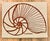 Pop Art Vintage Marushka Nautilus Screen Print on Stretched Linen Canvas Wall Hanging For Sale - Image 3 of 8