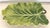 Vintage Italian Lord and Taylor Giant Cabbage Leaf Serving Platter For Sale - Image 6 of 9