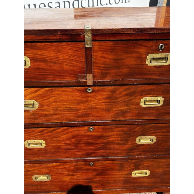 Campaign Chest of Drawers in Mahogany For Sale - Image 9 of 14