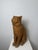 Montelupo Fiorentino Tuscan Artist, Sculpture of a Seated Cat, 19th Century, Terracotta For Sale - Image 11 of 18