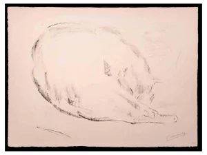 Giselle Halff, Cat, Original Lithograph, Mid-20th Century