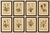 Eight Small Original Antique Pedicularis Wildflower Prints from the Alps, 1897 : A beautifully matched set of eight...