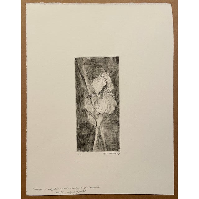 Traditional 1990s David Baird Iris Mezzotint For Sale - Image 3 of 3