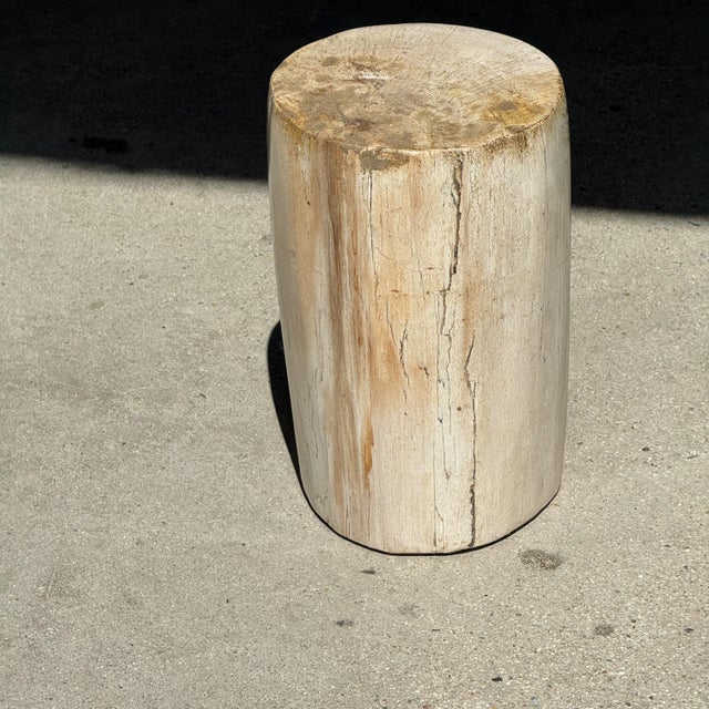 Small Side Table in Speckled White and Beige Petrified Wood, 1980s For Sale - Image 16 of 18