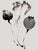 Set of 8 — “Flowers” Black & White Botanical Photography Prints | Unframed For Sale - Image 9 of 10