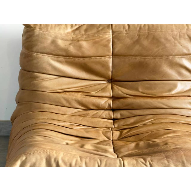 Togo 2-Seater Sofa Ligne Roset For Sale - Image 12 of 13