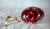 Mid 20th Century Vintage Lucite Red Flower Egg With Gold Stand For Sale - Image 5 of 7