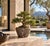 18th Century Granite Stone Bowl Charcoal Gray Black 8.7 Lb Mortar Planter For Sale - Image 4 of 11