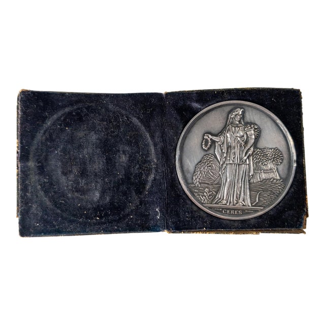 19th Century American Coin Silver New York Agricultural Society Medal For Sale