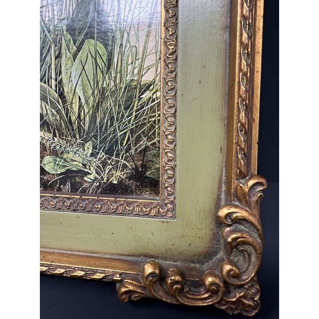 Traditional Vintage Framed Botanical Print After Albrecht Dürer – “Grass” For Sale - Image 3 of 6
