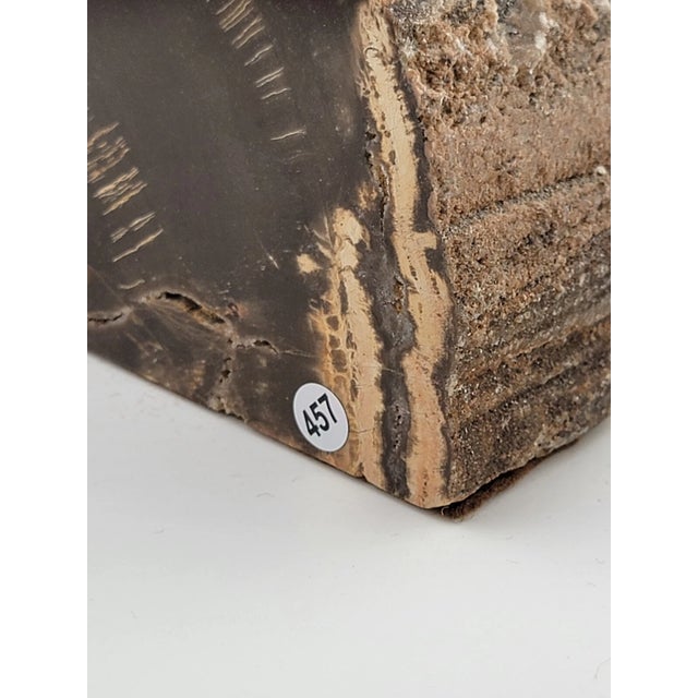 Antique & Unique Set of Polished Petrified Wood Bookends. Amazing Specimen. For Sale - Image 9 of 14