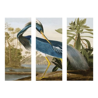 Reproduction Audubon Heron Triptych, Unframed - 3 Pieces For Sale