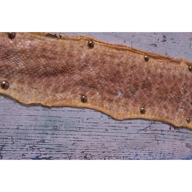 Mounted Diamond Back Rattlesnake Skin | Chairish