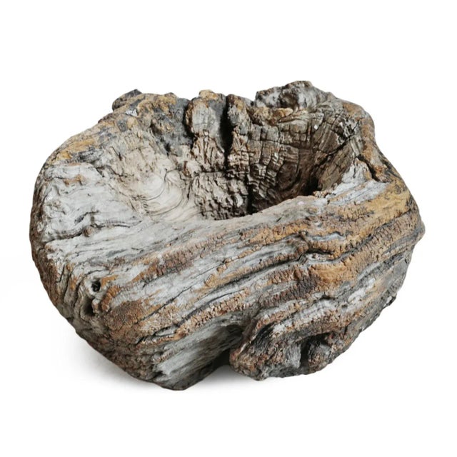 Mid 20th Century Old India Burl Wood Bowl For Sale In Los Angeles - Image 6 of 8
