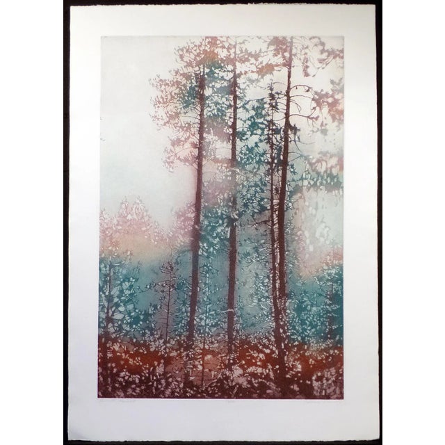 Realism 1980s "Hollister Ranch I and II" Landscape Etchings by Catherine O'Connor - a Pair For Sale - Image 3 of 12