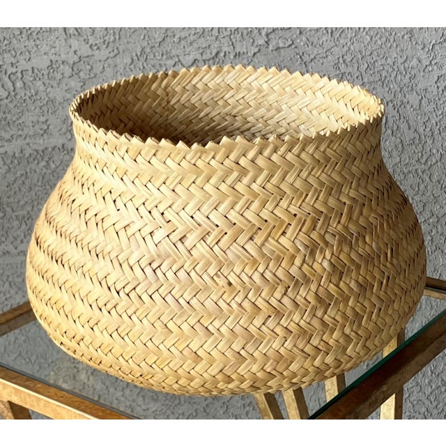 Late 20th-Century Nicely-Sized Tarahumara Handwoven Sotol Leaf Cachepot, Mexico For Sale - Image 16 of 18