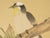 C. 1980s Maitland Smith, Painted Folding Screen "Magnolia and Sparrows" For Sale - Image 11 of 18