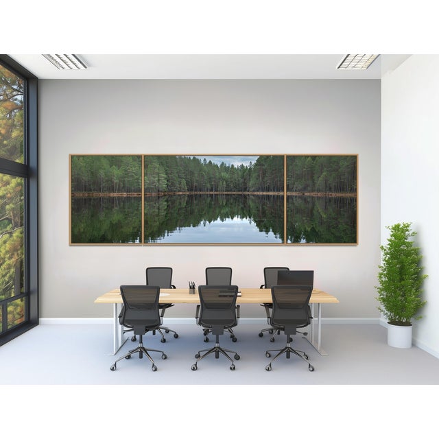 Edition Bernhard Lang Image: ""Deep_Mirroring_Forest_014" Triptych, consisting of 3 single images, 2 x single images size:...