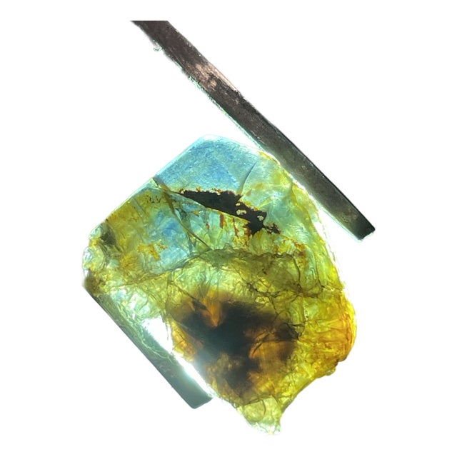 Natural Trapiche Parti Color Untreated 13ct. Sapphire. For Sale