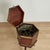 Antique English Mahogany Georgian Wine Cooler or Cellarette For Sale - Image 12 of 17