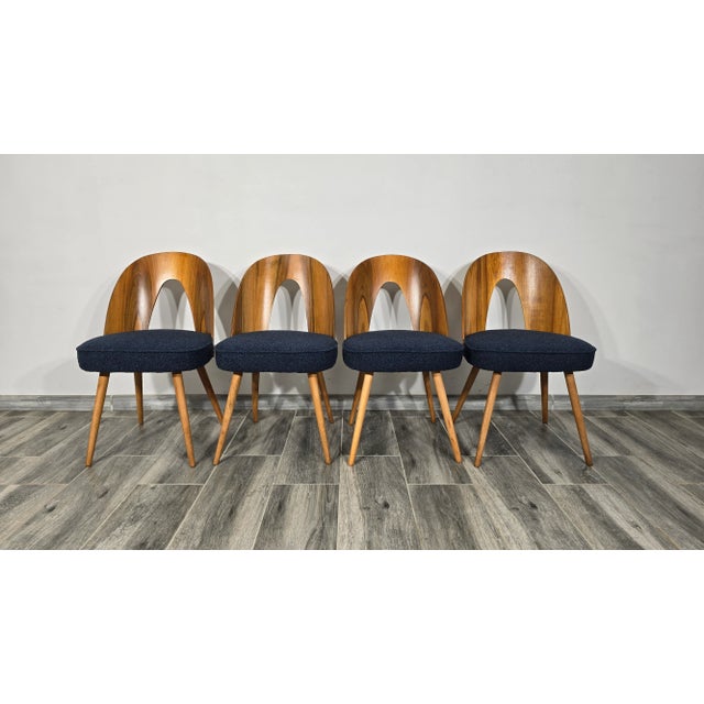 Dining Chairs by Antonin Suman, 1960s, Set of 4 For Sale - Image 6 of 12