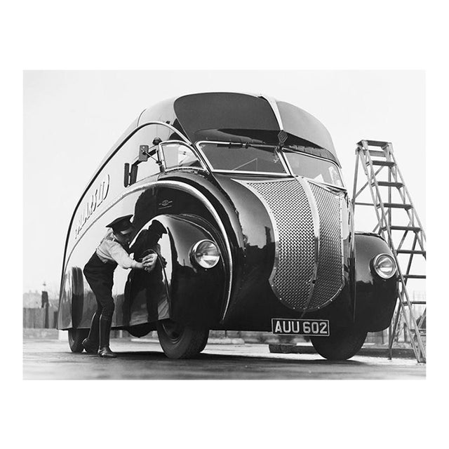 'Pride and Joy' Unframed Archival Pigment Print For Sale