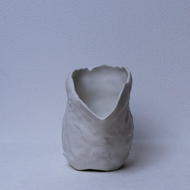 Beak Jug by Etra Masi For Sale - Image 4 of 7