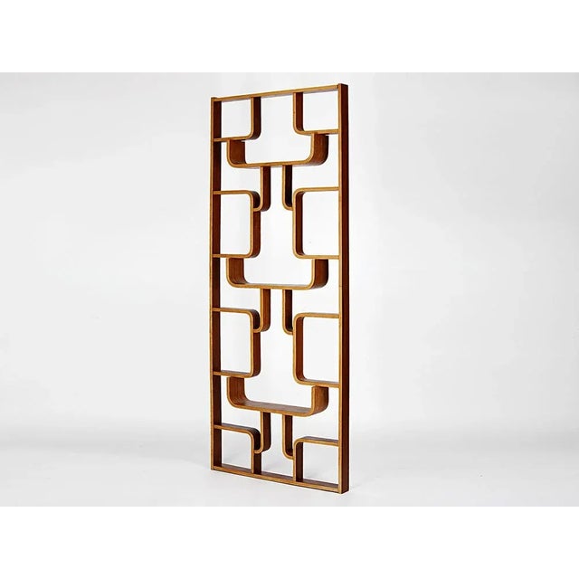 Mid-Century Divider by Ludvik Volak from Drevopodnik Holesov, 1960s For Sale - Image 6 of 10