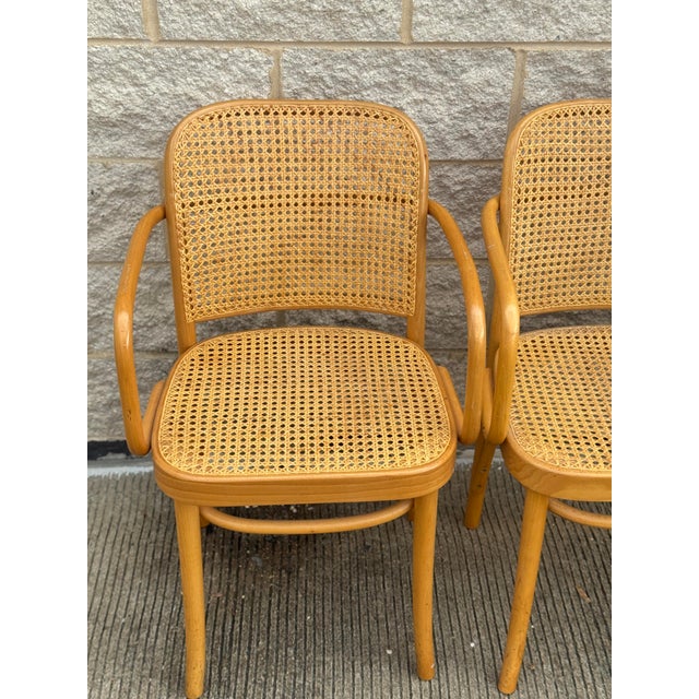 Josef Hoffmann A Pair of Mid Century Thonet Style Bentwood Prague Chairs Chairs For Sale - Image 4 of 9
