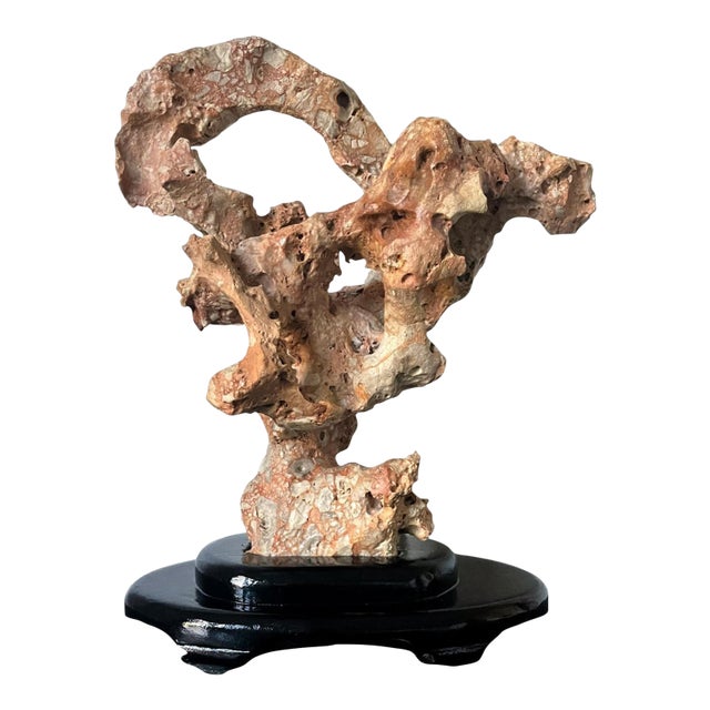 Chinese Taihu Scholar Stone Sculpture on Wood Stand For Sale