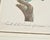 Pair Jacques Barraband Hand Colored Ornithological Bird Prints For Sale - Image 12 of 17