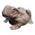 Bronze Frog Sculpture For Sale