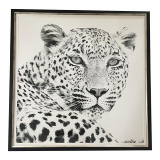 Black and White Cheetah Photograph For Sale
