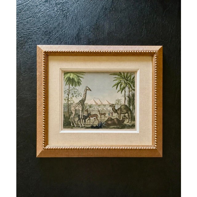 African Safari With Giraffe, Camel & Giza Pyramids – Antique Engraving by Johann Georg Heck, 1852, Custom Framed For Sale - Image 4 of 6