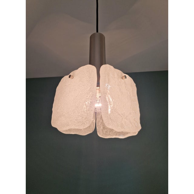Frosted Glass Pendant Light by J. T. Kalmar for Kalmar Franken KG, 1970 For Sale - Image 11 of 16